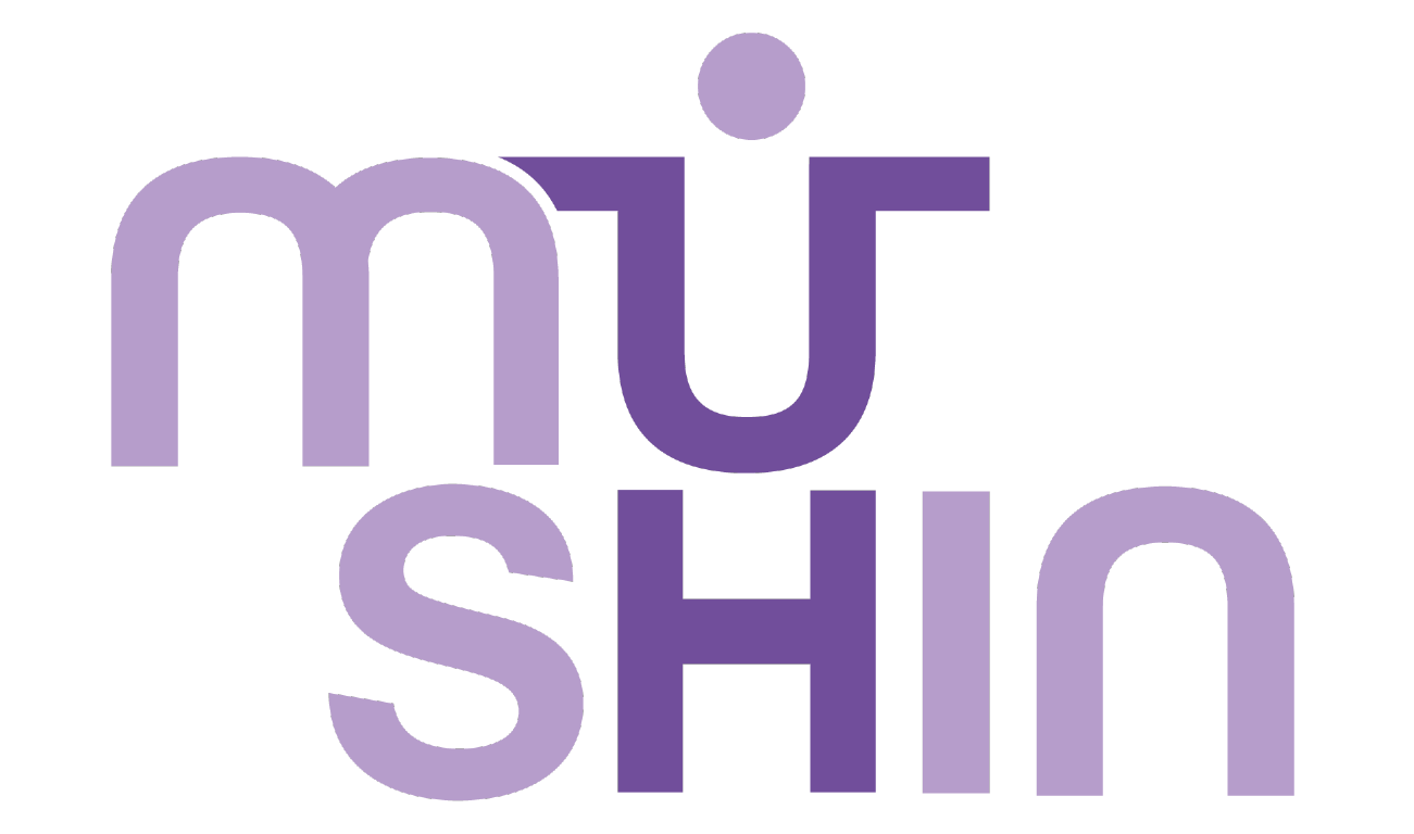 Mushin consultores